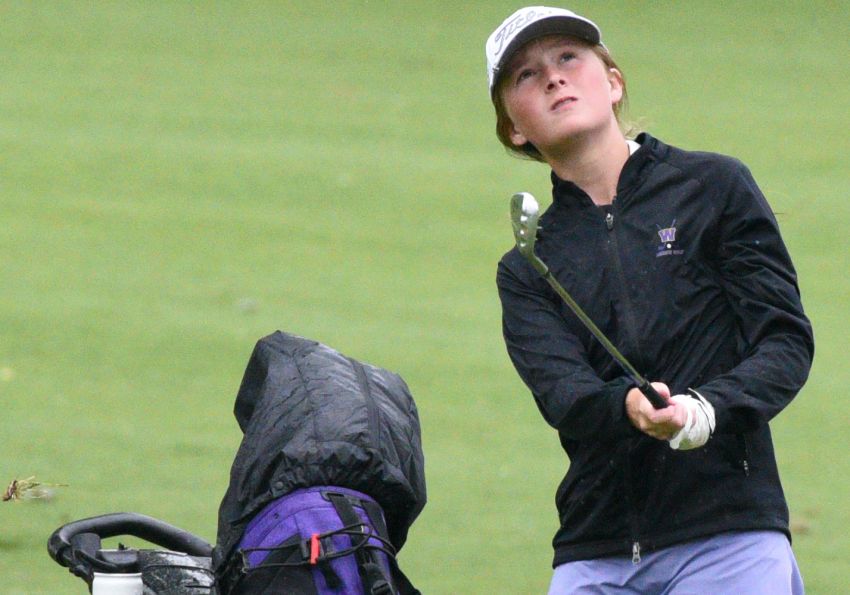 Watertown girls, Mitchell's Allison Meyerink claim titles at Class AA state golf tournament